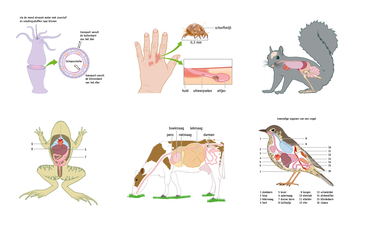 BiologieVoorJou