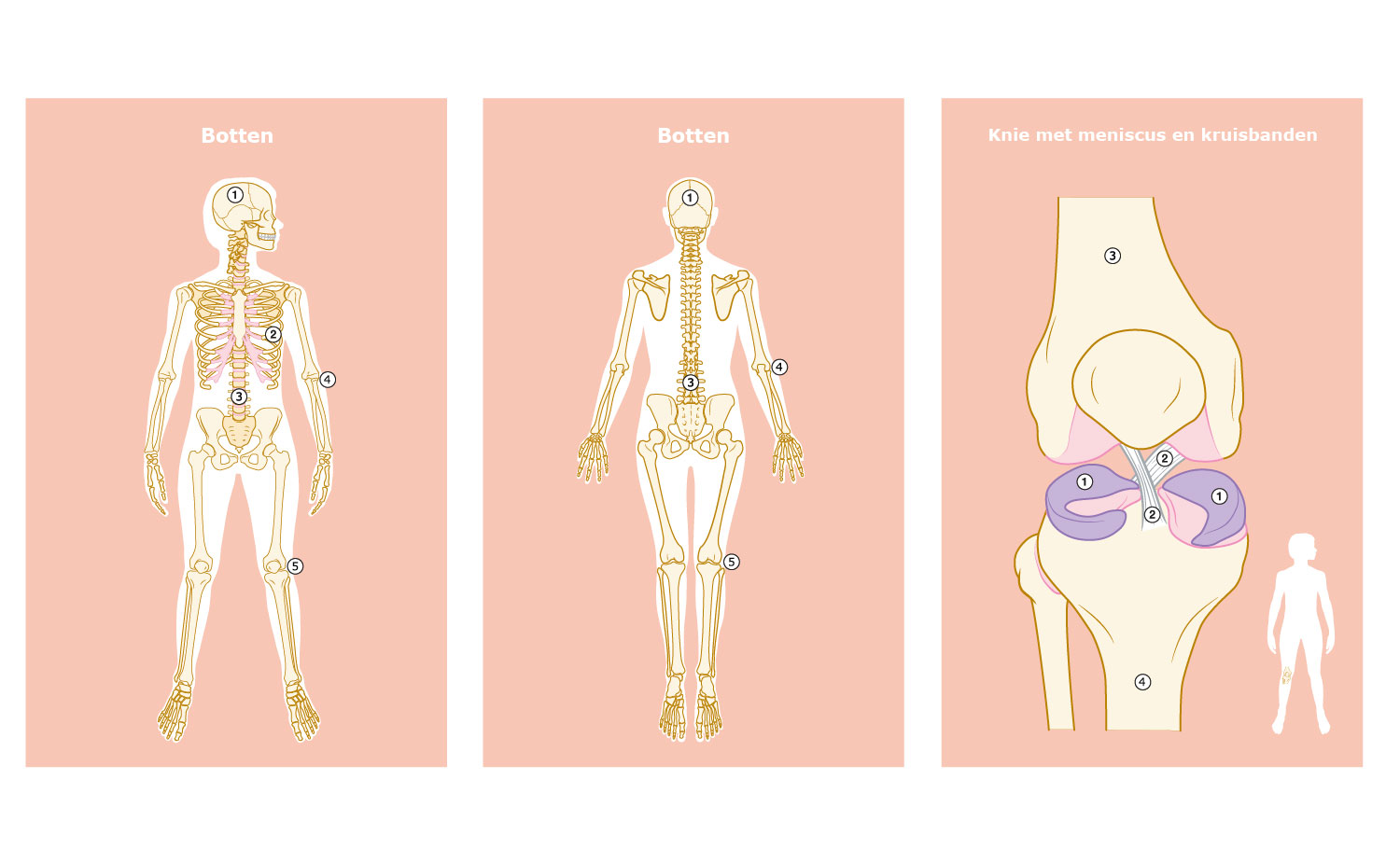 Pharos